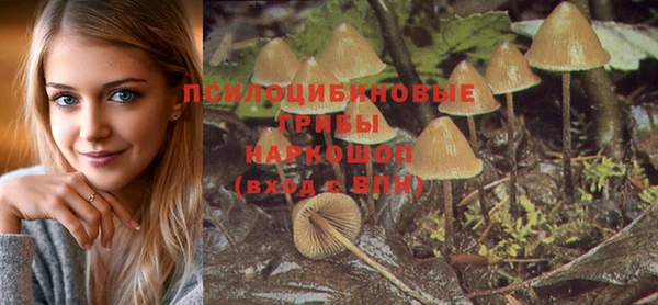 шишки Балабаново